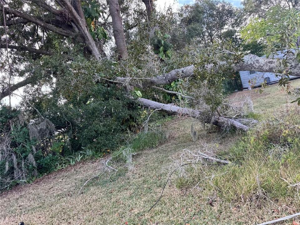 待售: $250,000 (2 贝兹, 2 浴室, 1152 平方英尺)