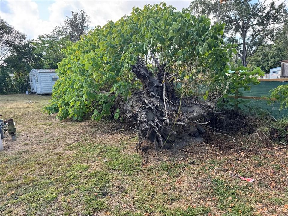 待售: $250,000 (2 贝兹, 2 浴室, 1152 平方英尺)