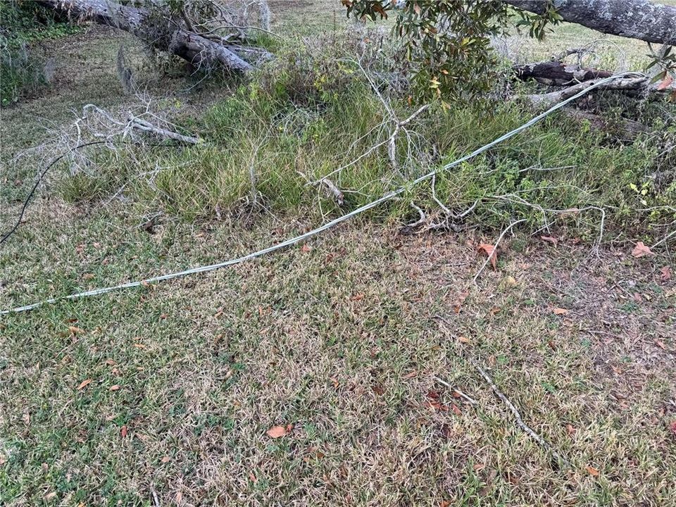 待售: $250,000 (2 贝兹, 2 浴室, 1152 平方英尺)