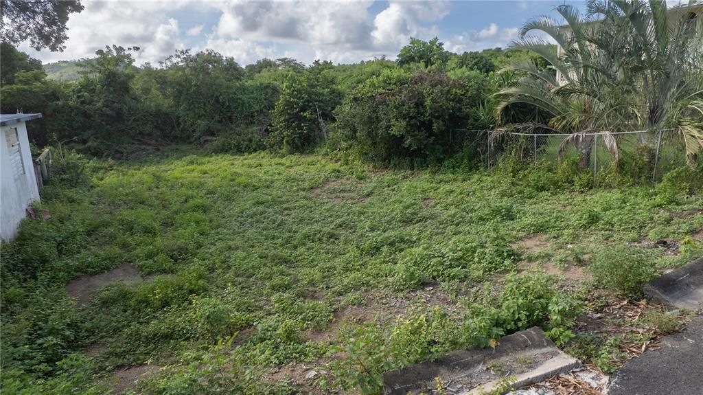 For Sale: $85,000 (0.08 acres)