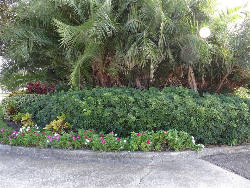 合同活跃: $750,000 (0 贝兹, 0 浴室, 3571 平方英尺)