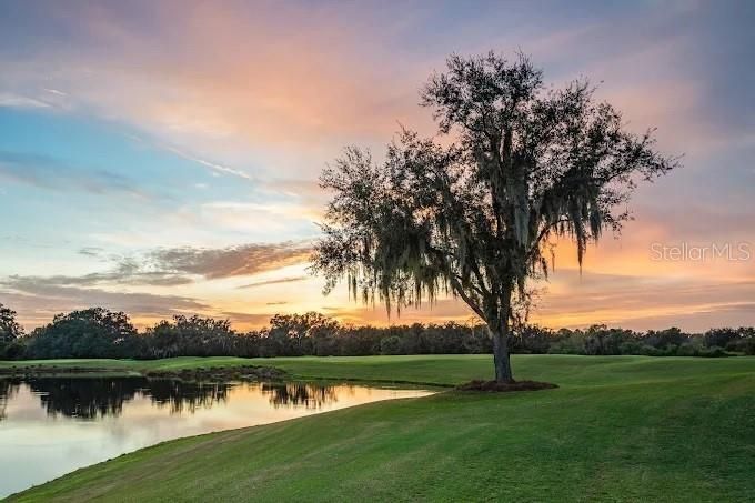 На продажу: $2,150,000 (3 спален, 3 ванн, 3182 Квадратных фут)