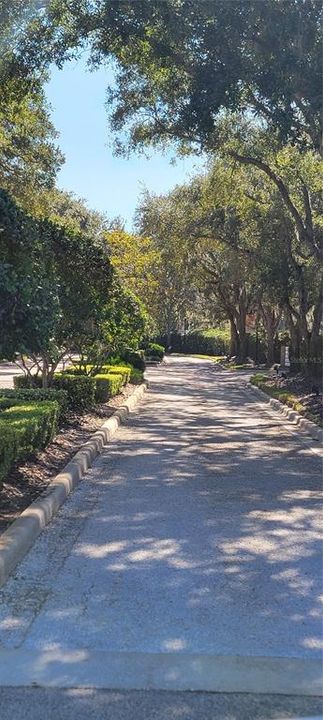 На продажу: $300,000 (0.70 acres)