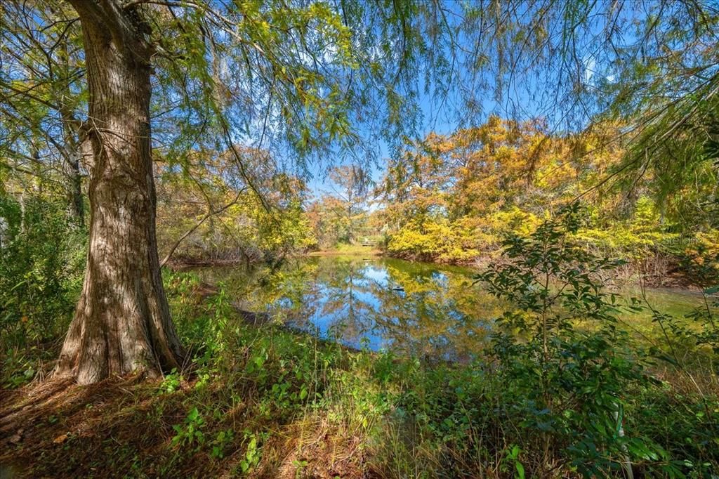 Active With Contract: $362,500 (3 beds, 2 baths, 1600 Square Feet)