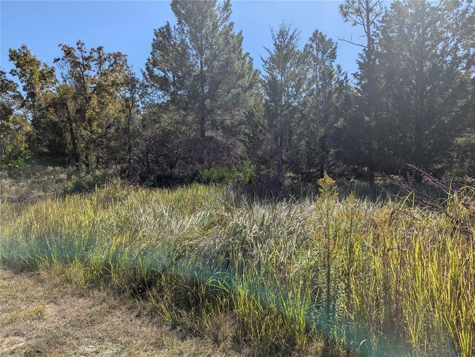 En Venta: $55,000 (0.54 acres)