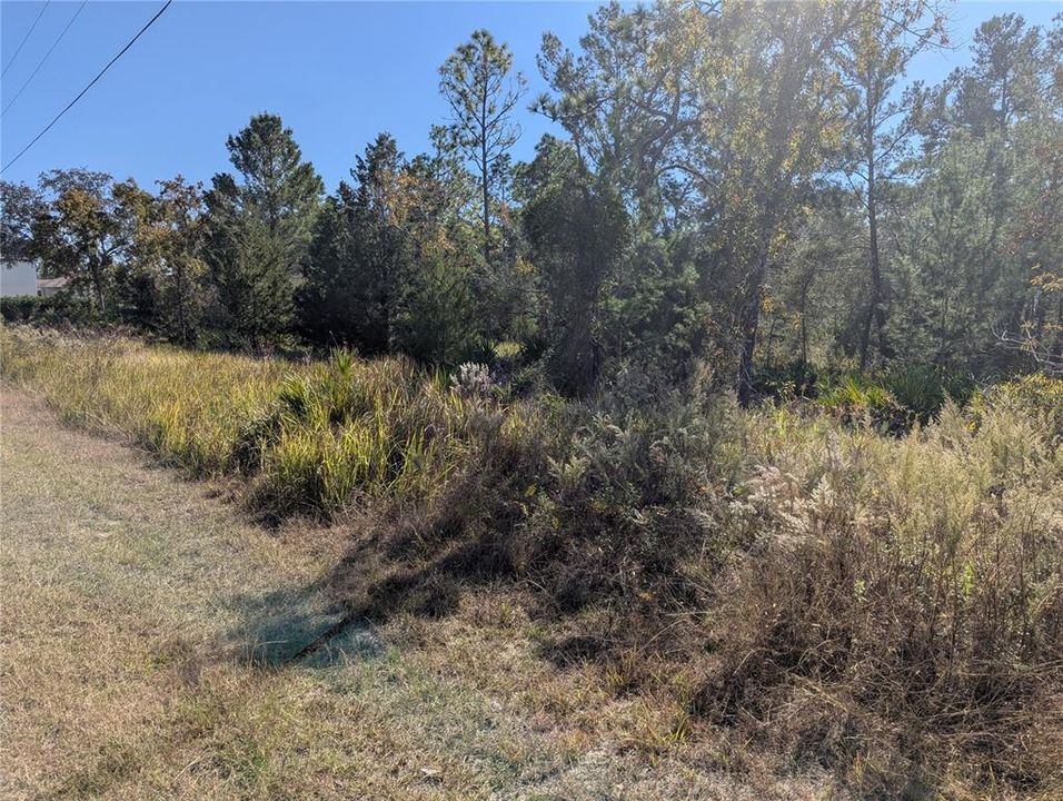 For Sale: $55,000 (0.46 acres)