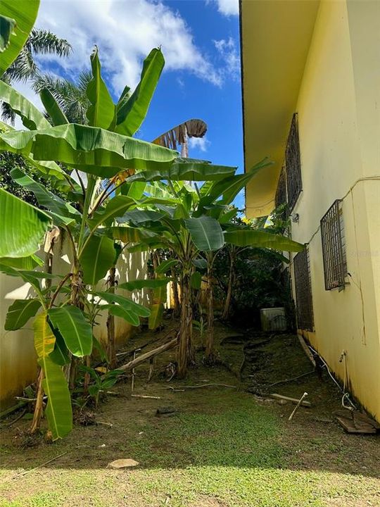 На продажу: $1,350,000 (4 спален, 4 ванн, 3118 Квадратных фут)