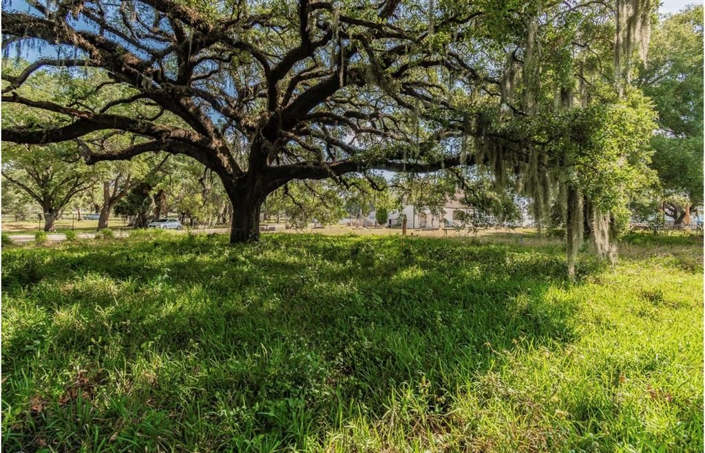 For Sale: $59,600 (0.14 acres)