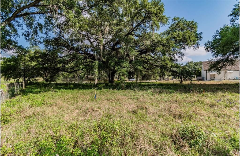 For Sale: $59,600 (0.14 acres)