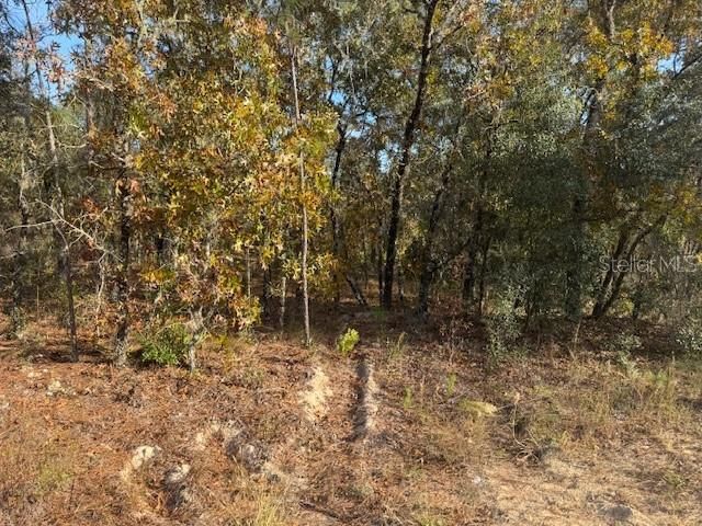 Под контрактом: $55,000 (1.16 acres)