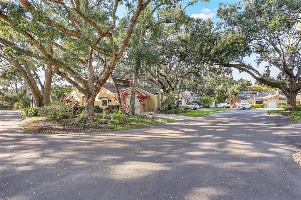 Activo con contrato: $340,000 (3 camas, 2 baños, 1343 Pies cuadrados)