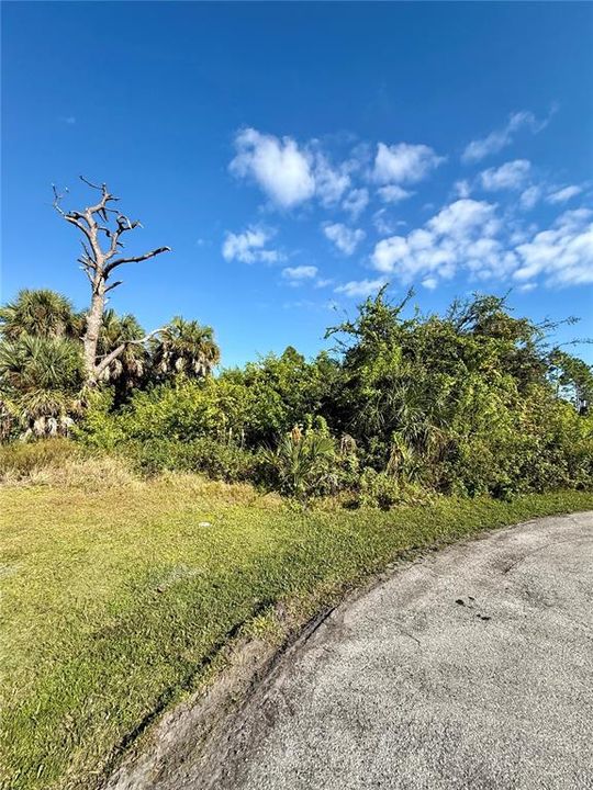 For Sale: $35,000 (0.30 acres)