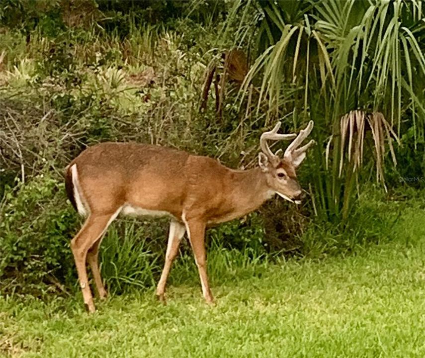 待售: $395,000 (3 贝兹, 2 浴室, 1514 平方英尺)