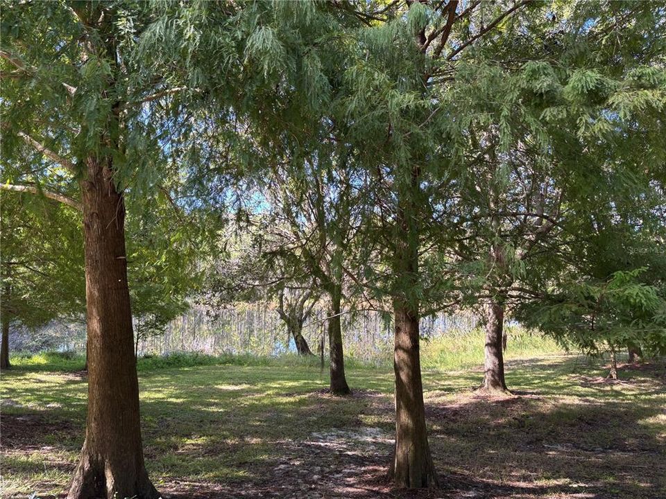 En Venta: $249,500 (2 camas, 2 baños, 1095 Pies cuadrados)