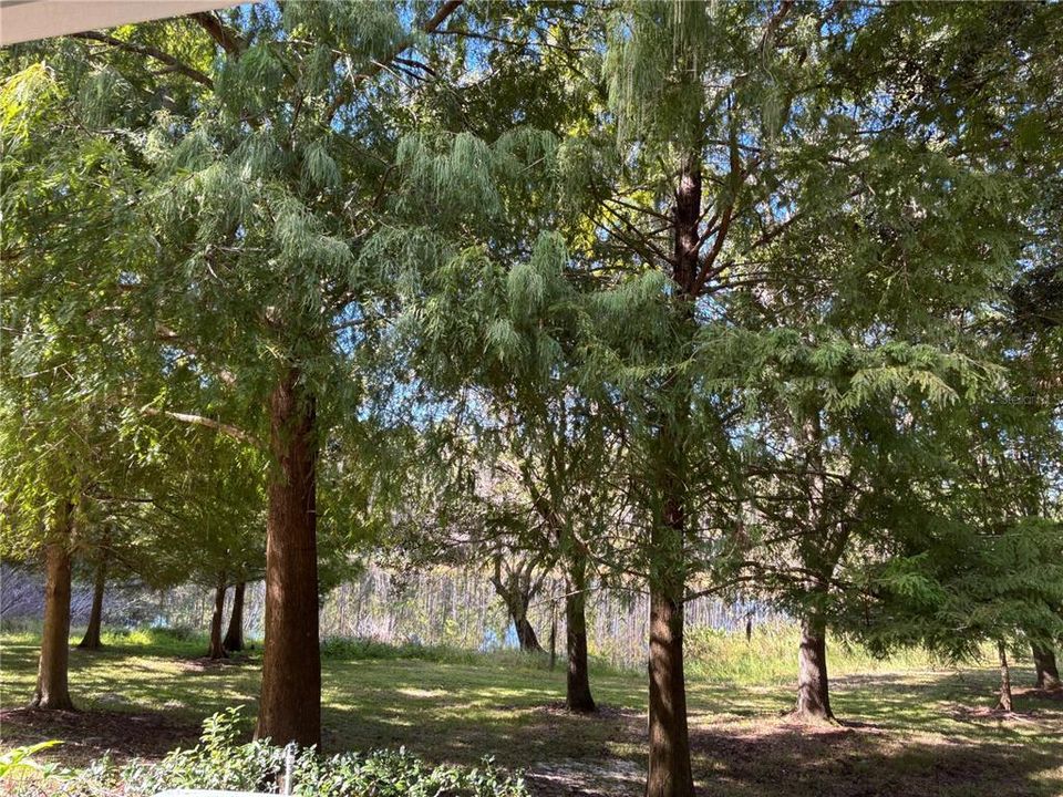 En Venta: $249,500 (2 camas, 2 baños, 1095 Pies cuadrados)