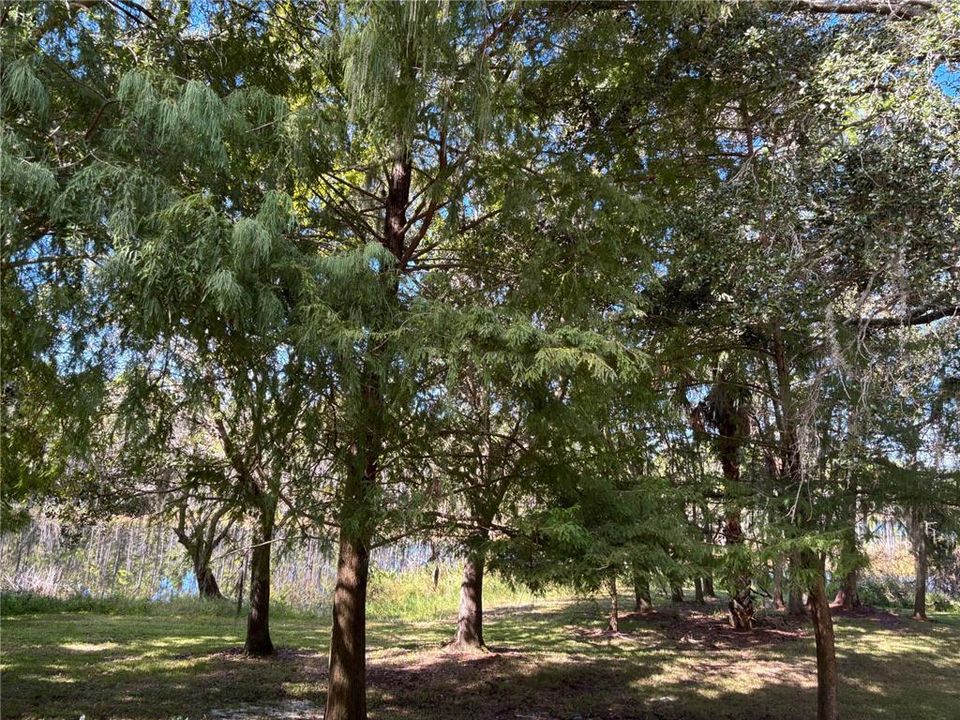 En Venta: $249,500 (2 camas, 2 baños, 1095 Pies cuadrados)