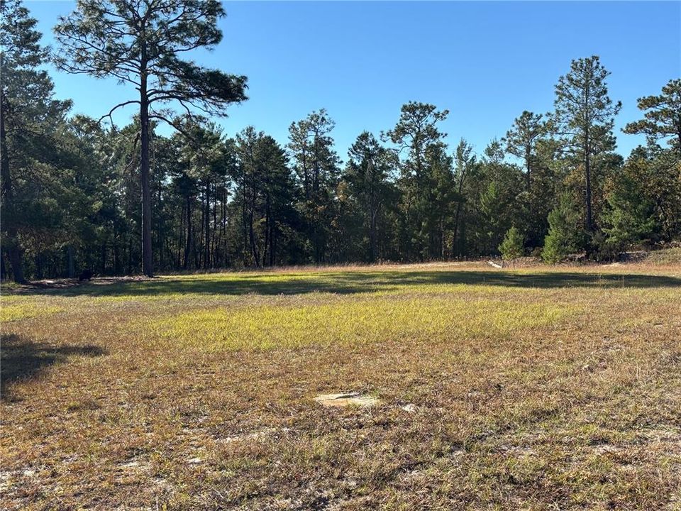 Под контрактом: $159,000 (2 спален, 2 ванн, 960 Квадратных фут)