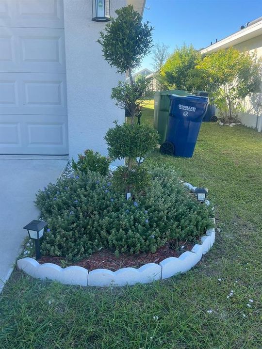 На продажу: $299,999 (3 спален, 2 ванн, 1526 Квадратных фут)