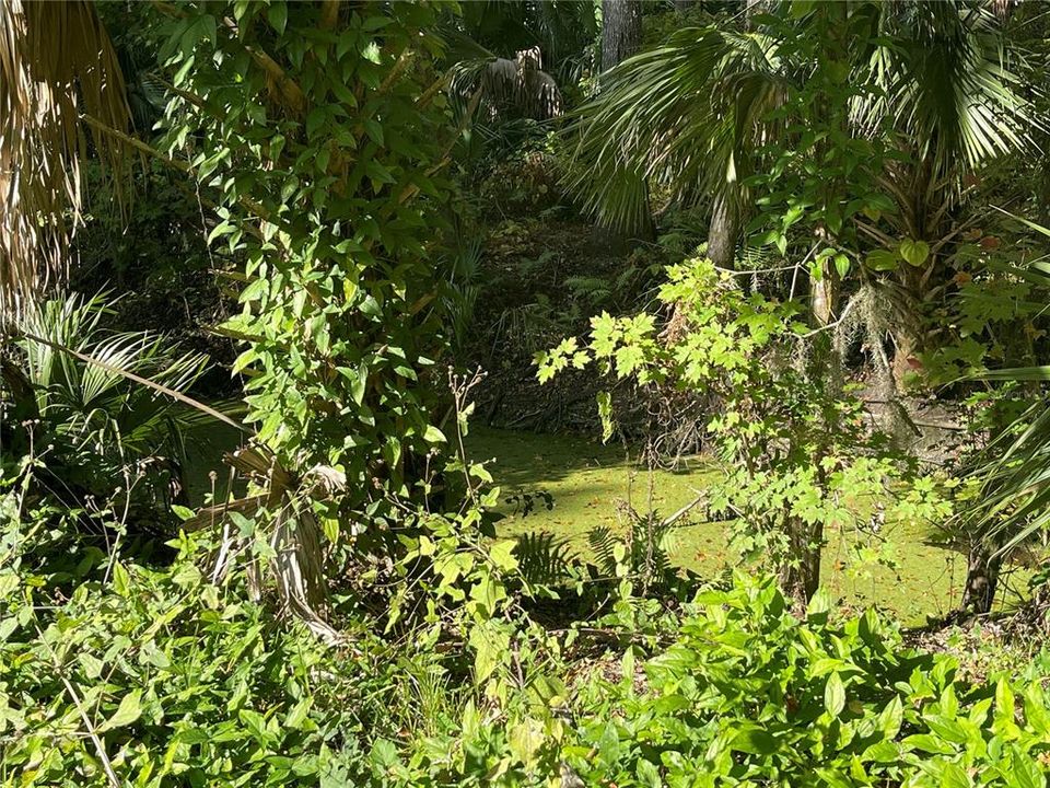 For Sale: $44,900 (0.35 acres)