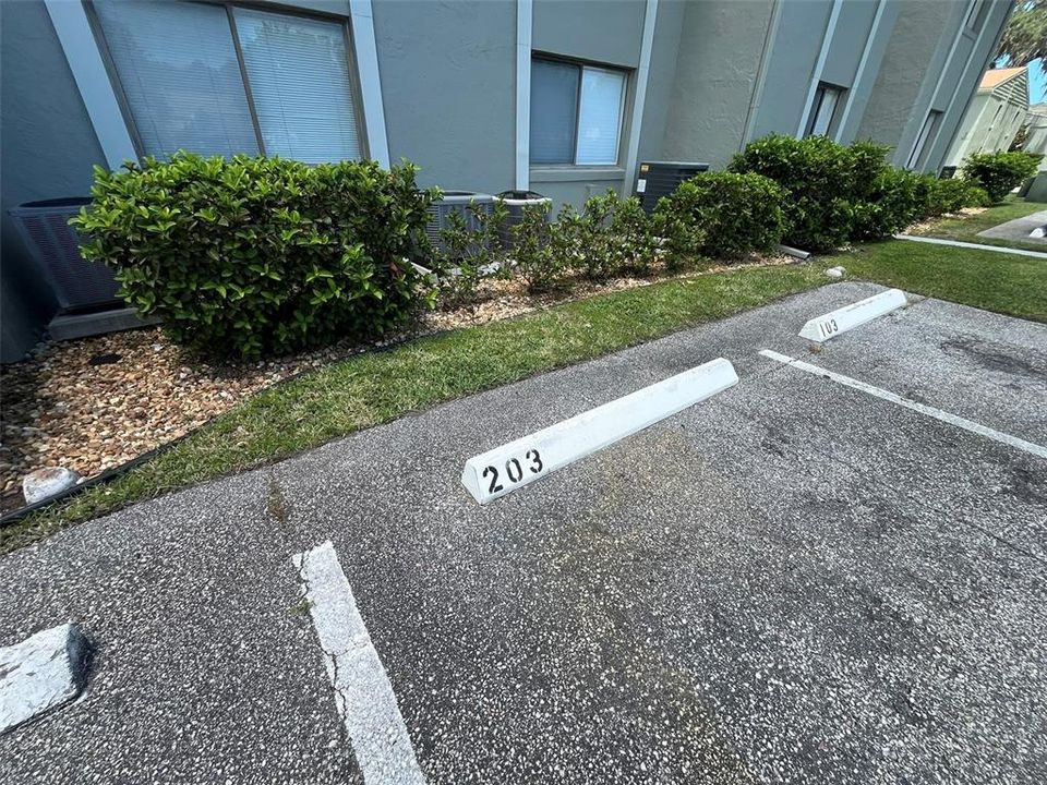 出租: $1,550 (2 贝兹, 2 浴室, 1006 平方英尺)