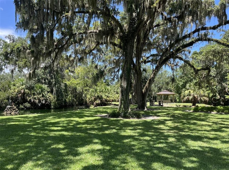 出租: $1,550 (2 贝兹, 2 浴室, 1006 平方英尺)