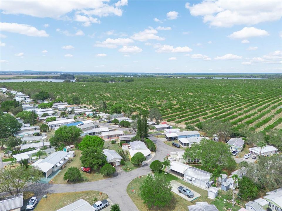 待售: $159,900 (1 贝兹, 1 浴室, 954 平方英尺)