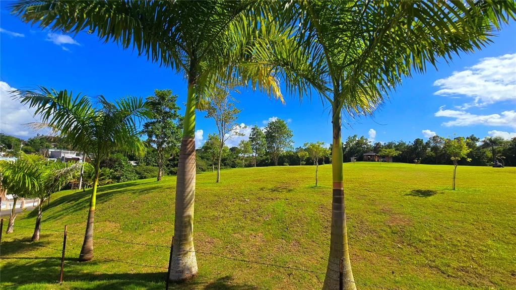 待售: $375,000 (2.91 acres)