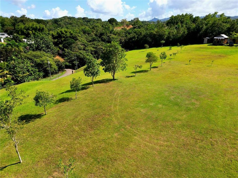 待售: $375,000 (2.91 acres)