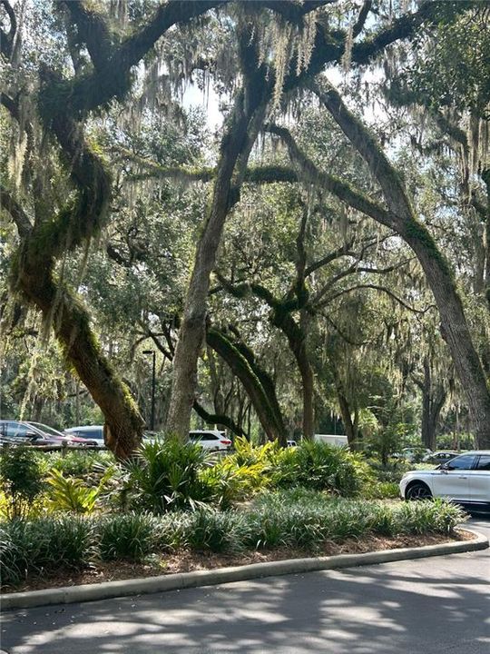 На продажу: $499,000 (3 спален, 2 ванн, 1696 Квадратных фут)