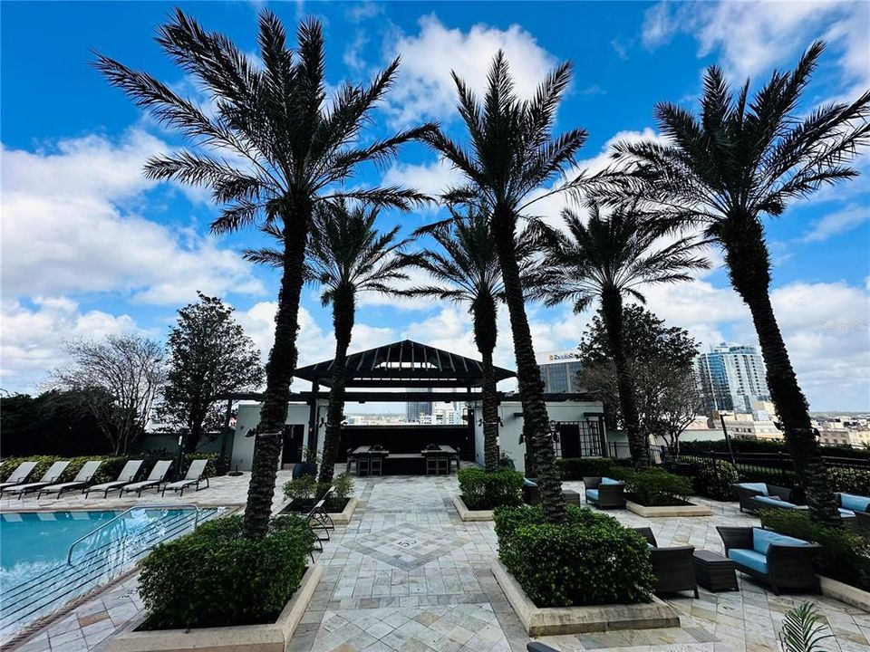 出租: $3,200 (1 贝兹, 1 浴室, 1602 平方英尺)