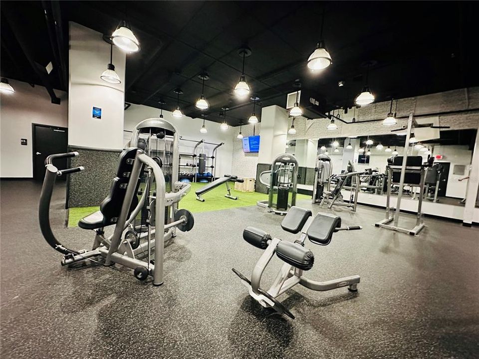 出租: $3,200 (1 贝兹, 1 浴室, 1602 平方英尺)