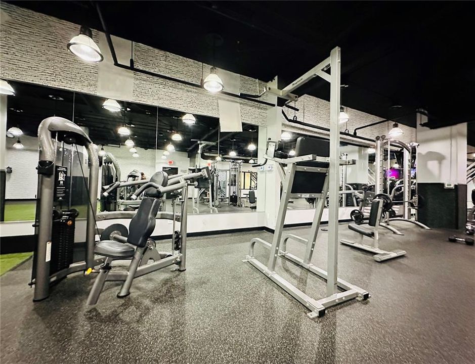 出租: $3,200 (1 贝兹, 1 浴室, 1602 平方英尺)