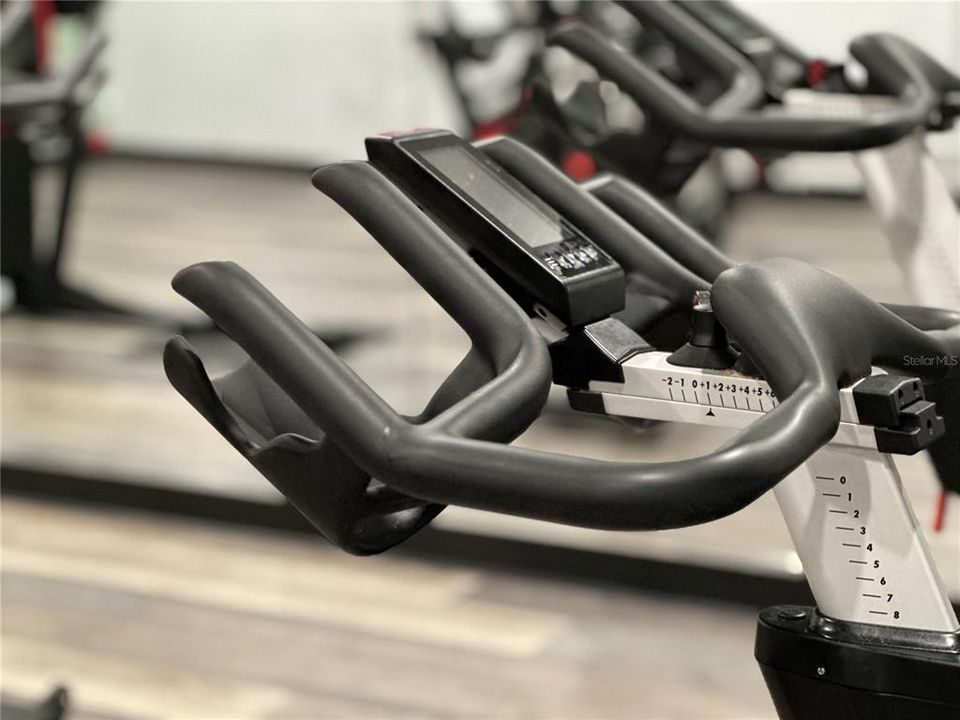 出租: $3,200 (1 贝兹, 1 浴室, 1602 平方英尺)