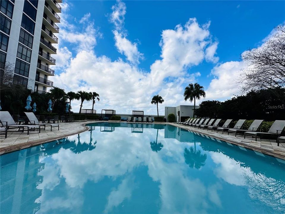 出租: $3,200 (1 贝兹, 1 浴室, 1602 平方英尺)