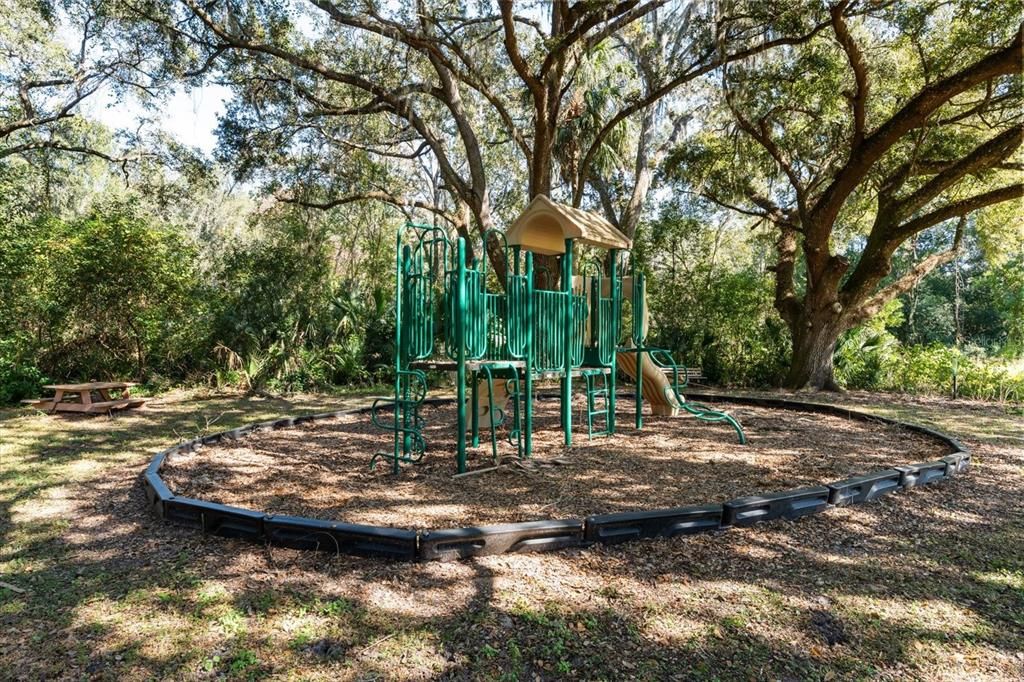 For Sale: $315,000 (4.75 acres)