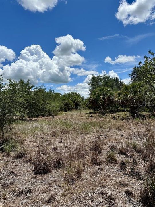 For Sale: $349,000 (20.50 acres)