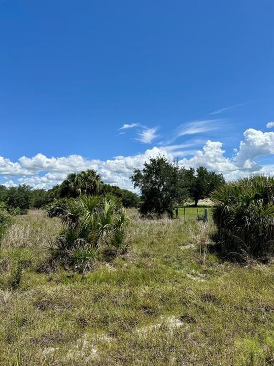 For Sale: $349,000 (20.50 acres)