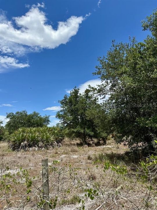 For Sale: $349,000 (20.50 acres)