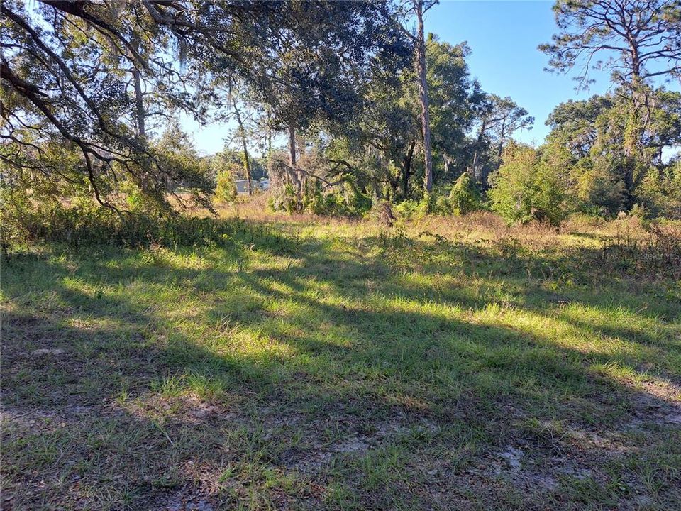 待售: $140,000 (3.00 acres)