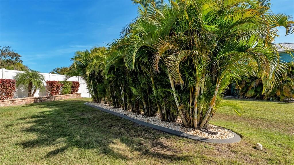 待售: $229,900 (0.12 acres)