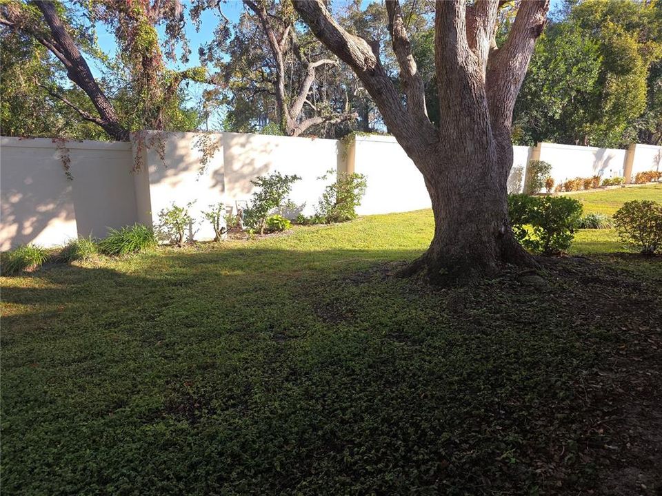 合同活跃: $339,000 (2 贝兹, 2 浴室, 1744 平方英尺)