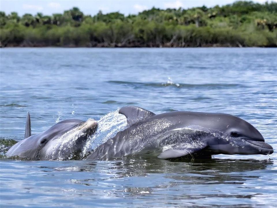 En Venta: $749,900 (3 camas, 2 baños, 1614 Pies cuadrados)