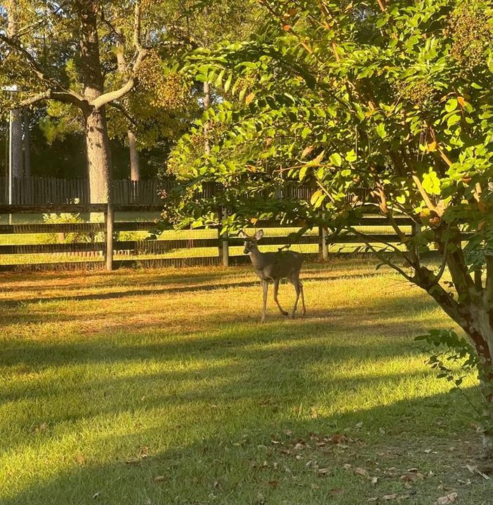 На продажу: $399,000 (3 спален, 2 ванн, 1657 Квадратных фут)