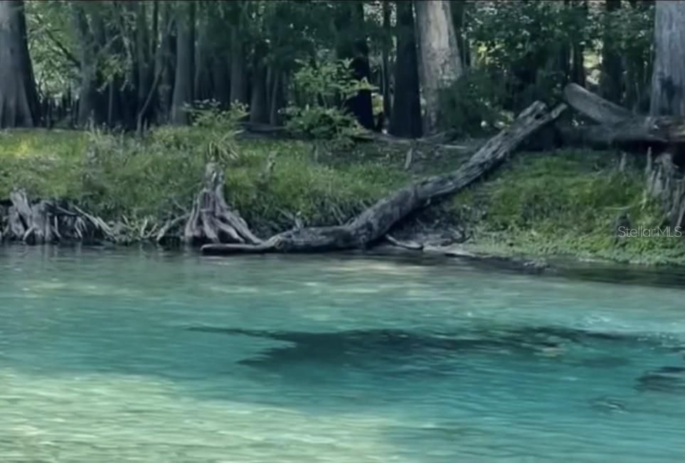 На продажу: $399,000 (3 спален, 2 ванн, 1657 Квадратных фут)