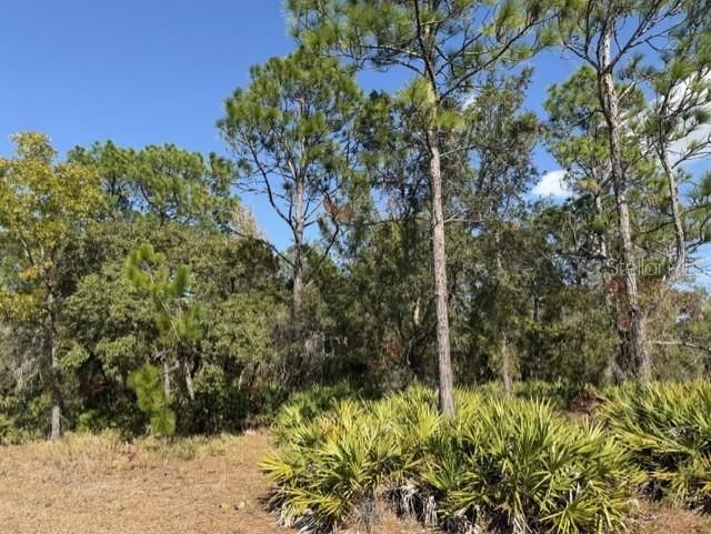 待售: $79,900 (0.80 acres)