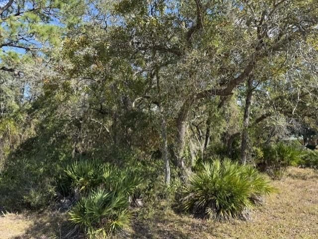 待售: $79,900 (0.80 acres)