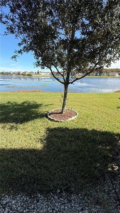 出租: $2,650 (3 贝兹, 2 浴室, 2104 平方英尺)