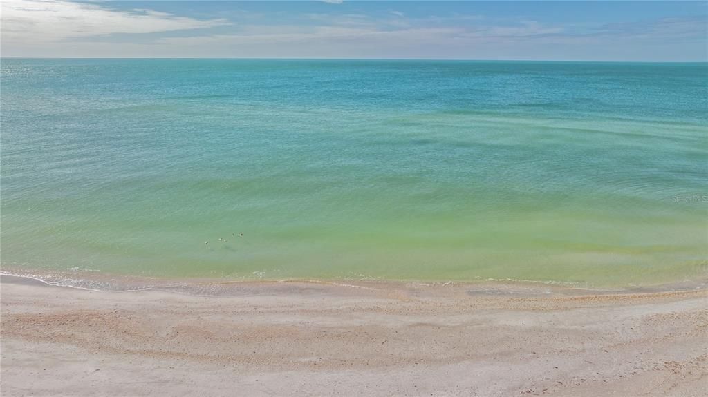 На продажу: $2,799,000 (3 спален, 3 ванн, 2936 Квадратных фут)