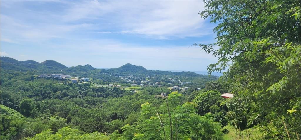 待售: $330,000 (0.77 acres)