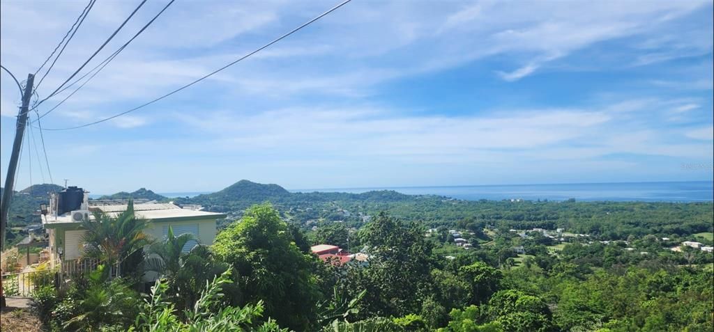 待售: $330,000 (0.77 acres)